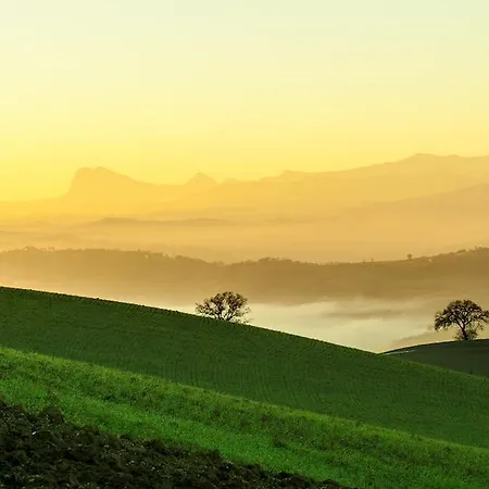 Bed and Breakfast Da Sugari San Severino Marche